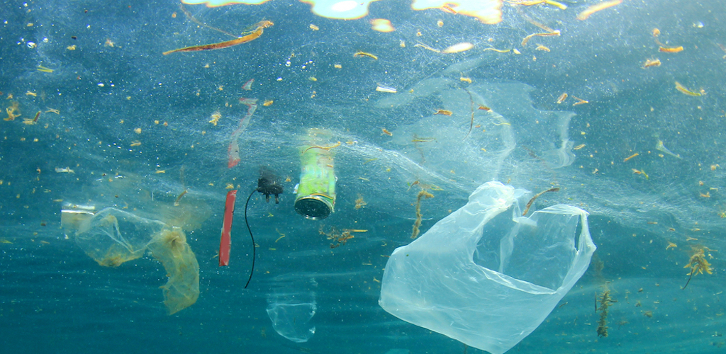 Plastic Free Ocean