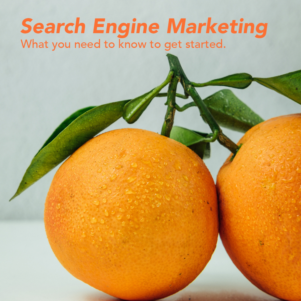 Search Engine Marketing at Barefruit 