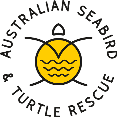 Australian Seabird & Turtle Rescue